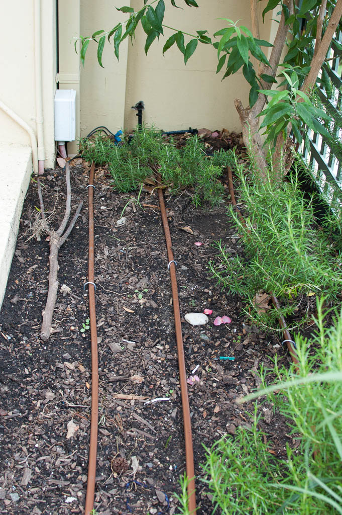 Three dripper lines in small garden bed